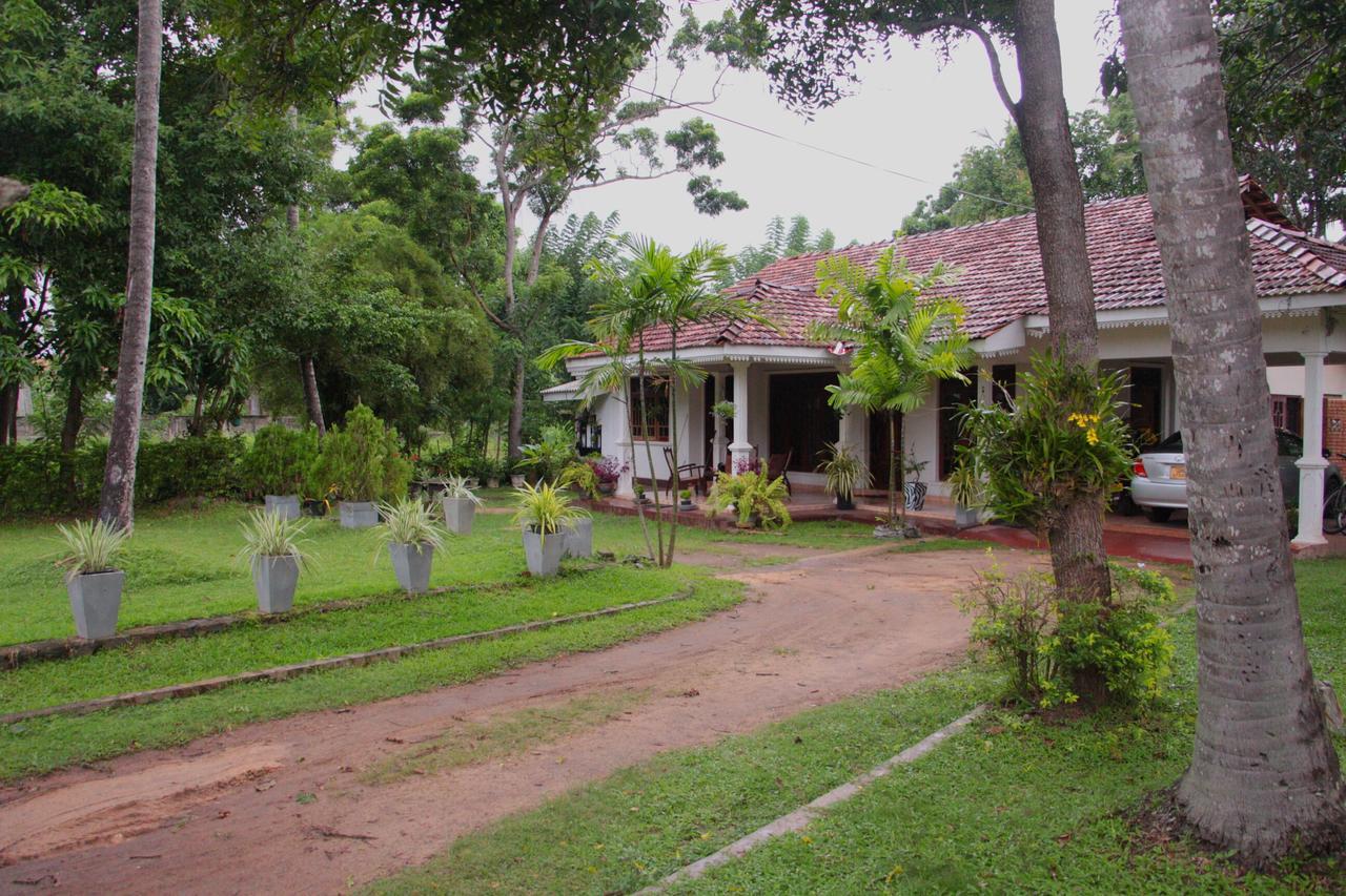 Coco Home Negombo Exterior foto